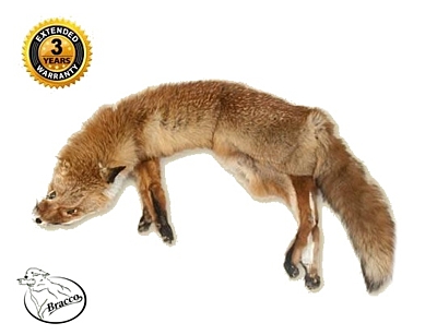 Bracco three-part fox dummy whole-fur– 2000g - 7000g