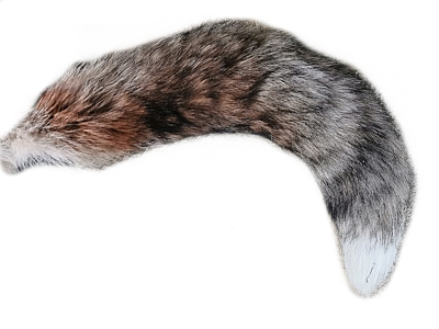 Fox tail, different variants