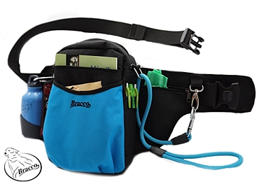Bracco dog training belt Multi, black/blue.