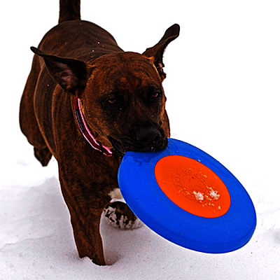 Orbee-Tuff® Zoom Flyer Frisbee 16,5cm oranžovo/modrý