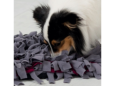 Dog Activity SNIFFING CARPET čichací koberec 50 x 34 cm