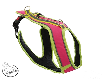 BRACCO dog harness ACTIVE, neon pink - various sizes.